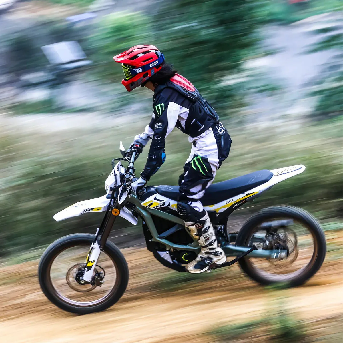 Premium electric bike